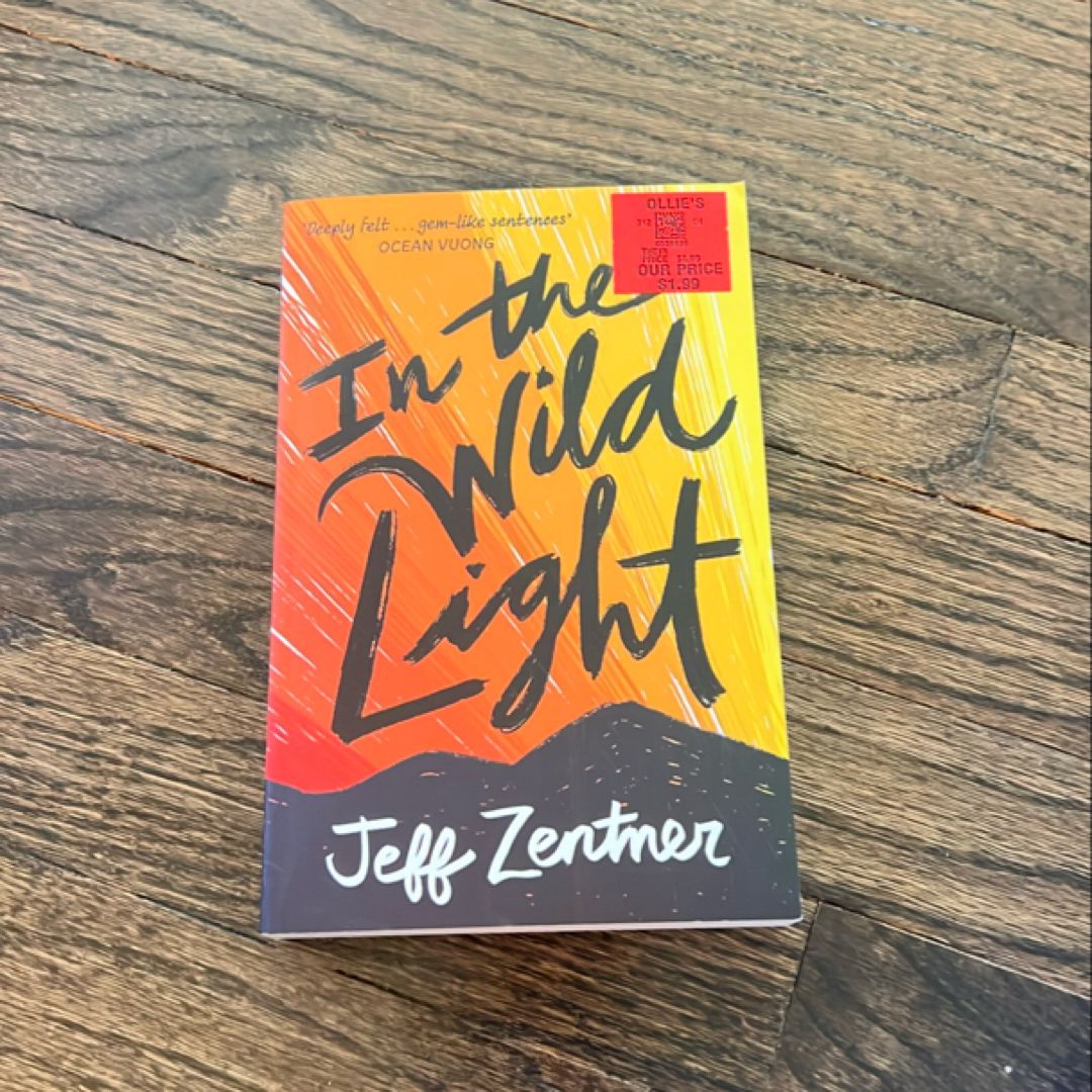 In the Wild Light