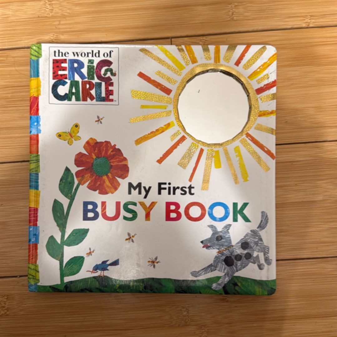My First Busy Book