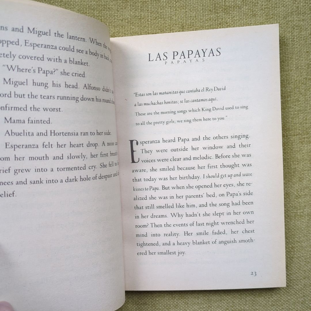 Esperanza Rising
