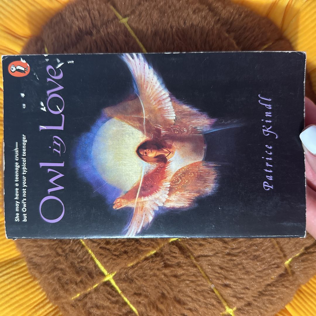 Owl in Love