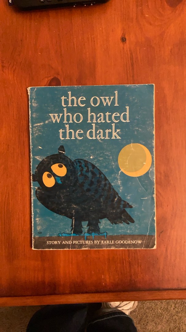 The Owl Who Hated the Dark