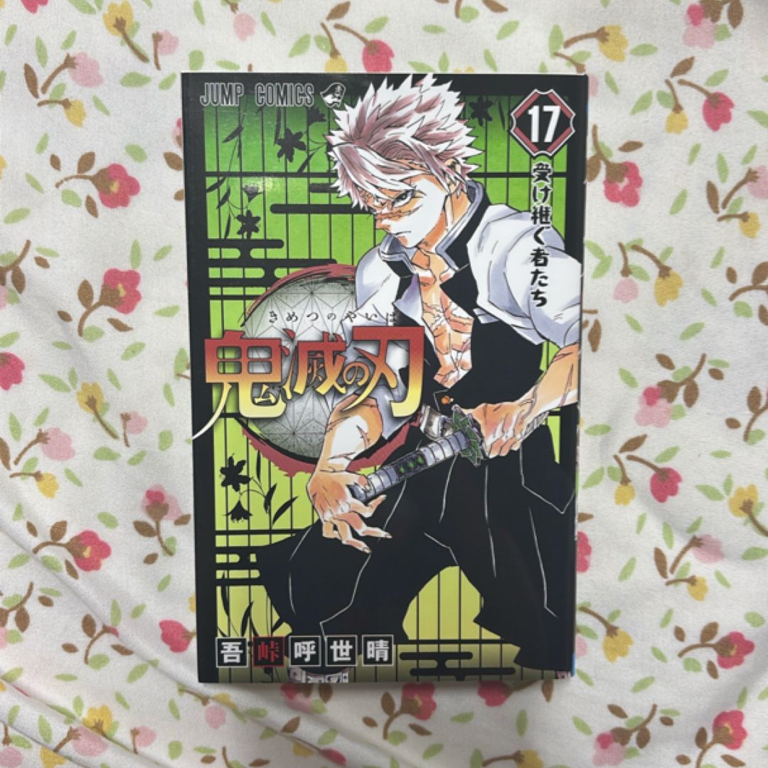 Kimetsu no Yaiba Vol. 17 (Japanese edition) 