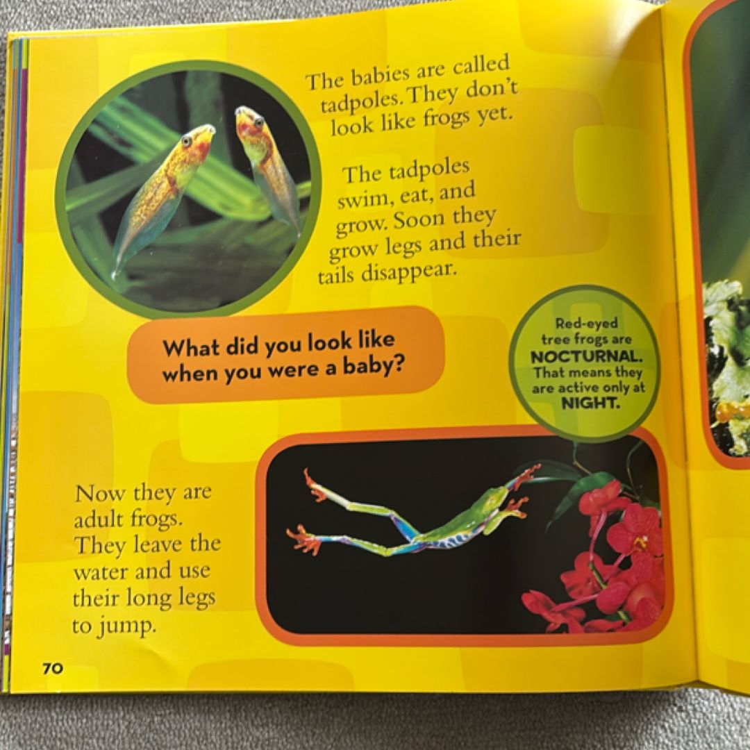 National Geographic Little Kids First Big Book of Animals