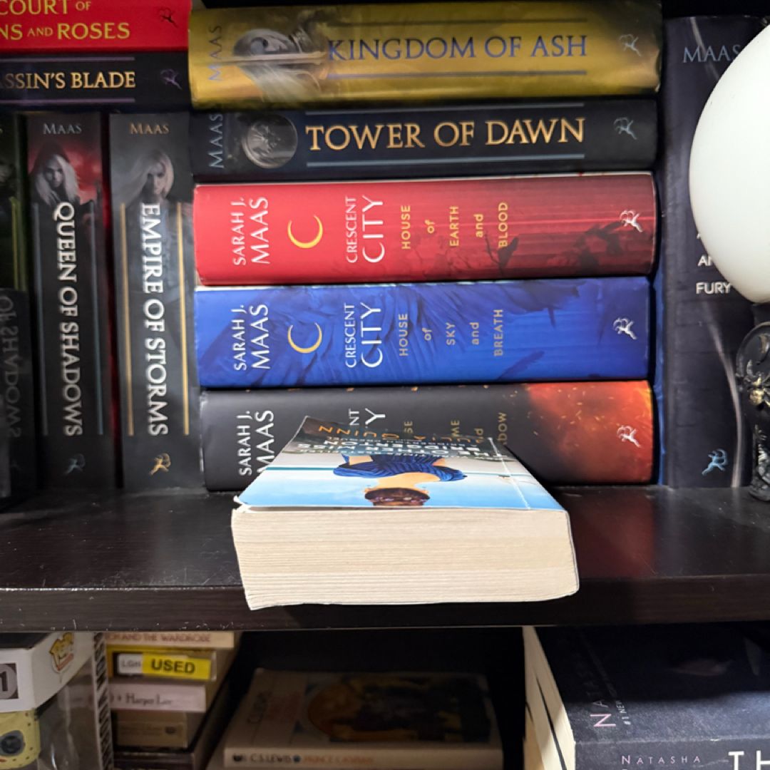 The Other Miss Bridgerton