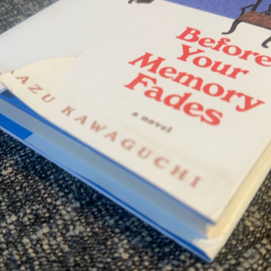 Before Your Memory Fades