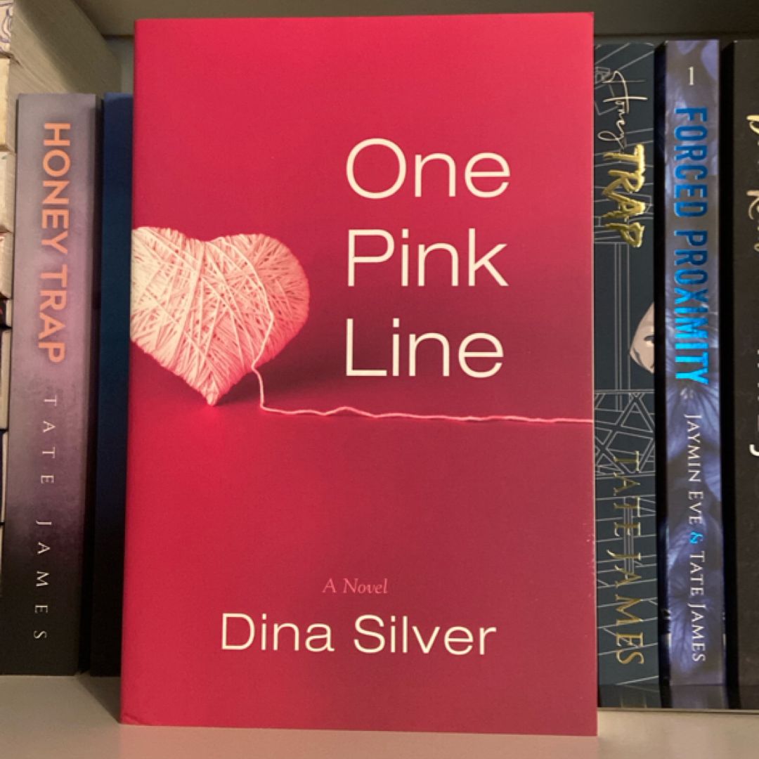 One Pink Line by Dina Silver