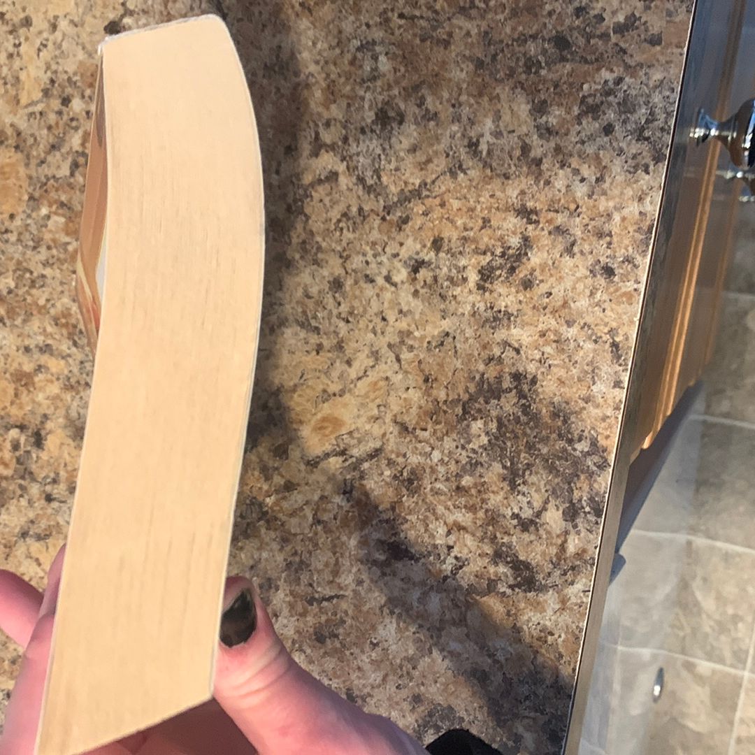 The Year Everything Changed