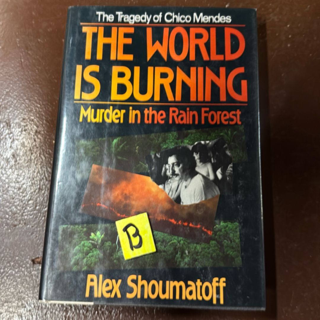 The World Is Burning