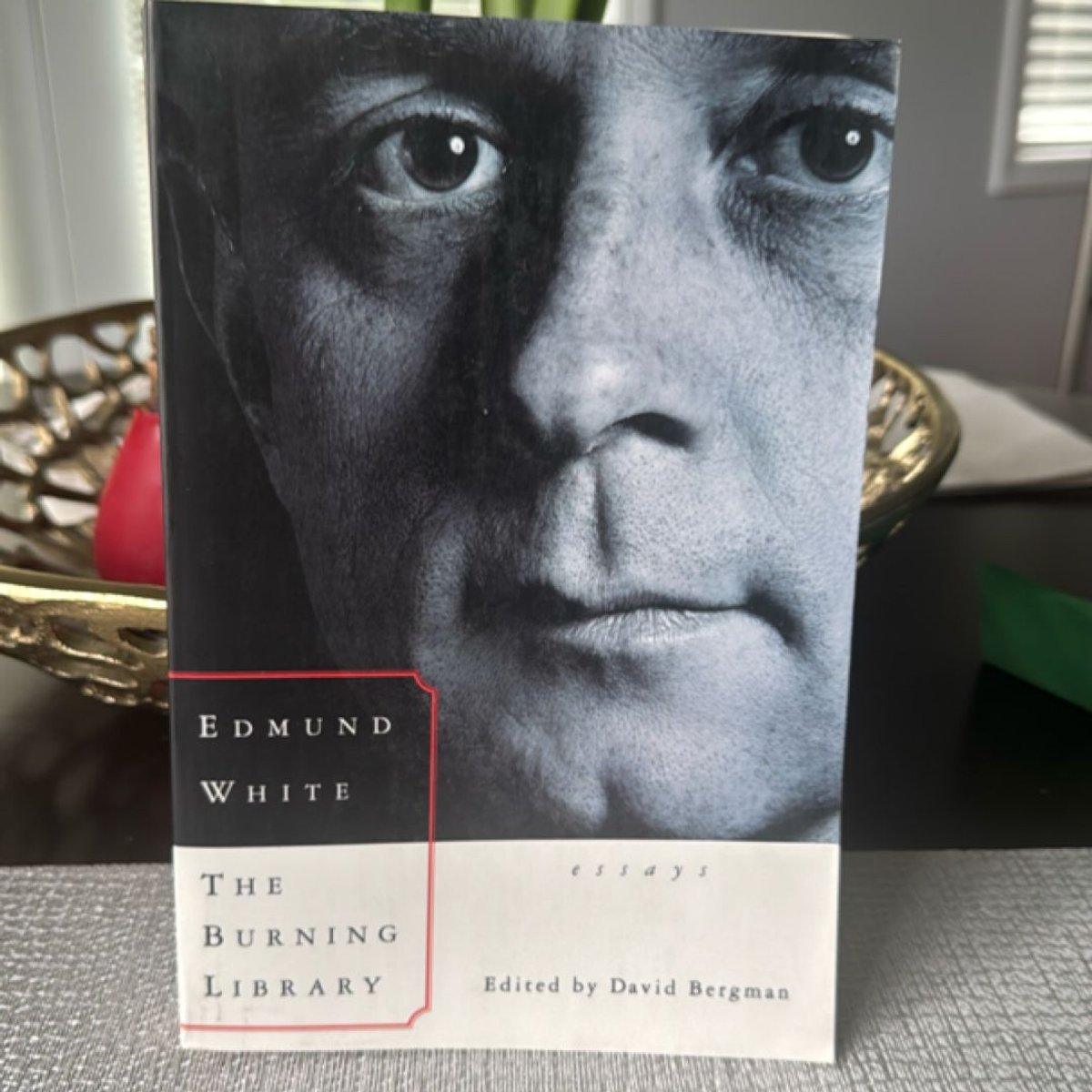 The Burning Library by Edmund White