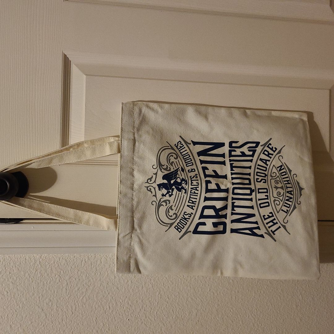 Bookish box tote inspired by Crescent City series by Sarah J