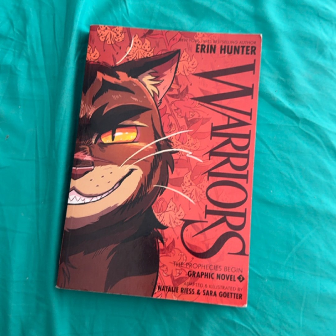 Warriors Graphic Novel: the Prophecies Begin #3