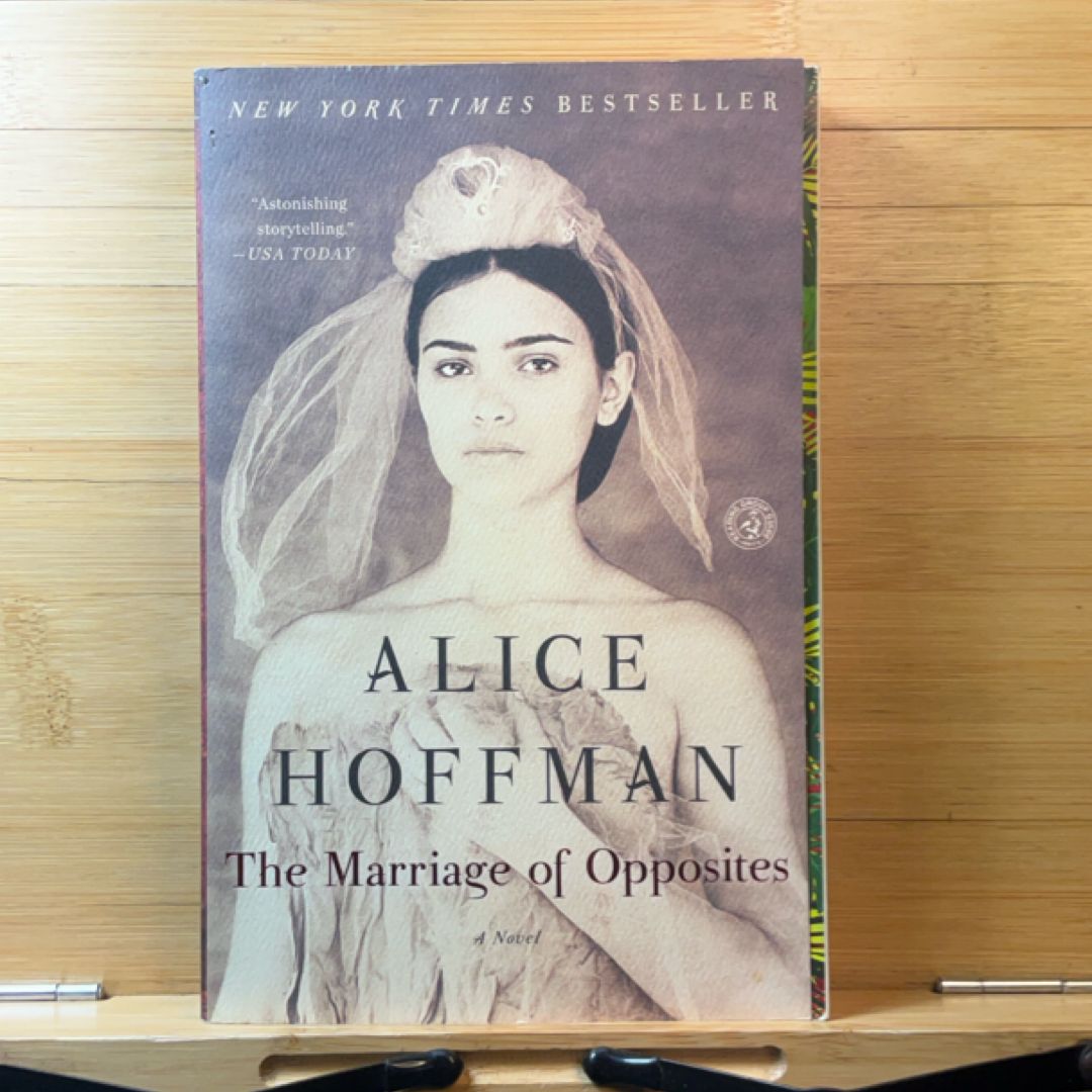 The Marriage of Opposites