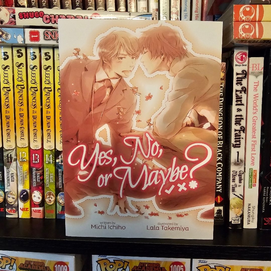 Yes, No, or Maybe? (Light Novel)