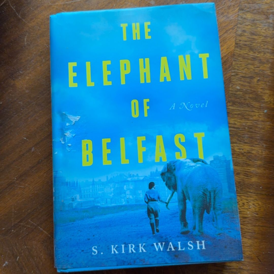 The Elephant of Belfast