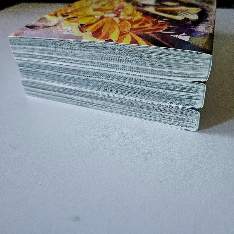 I Was Reincarnated As the Villainess in an Otome Game but the Boys Love Me Anyway!, Volume 1-3