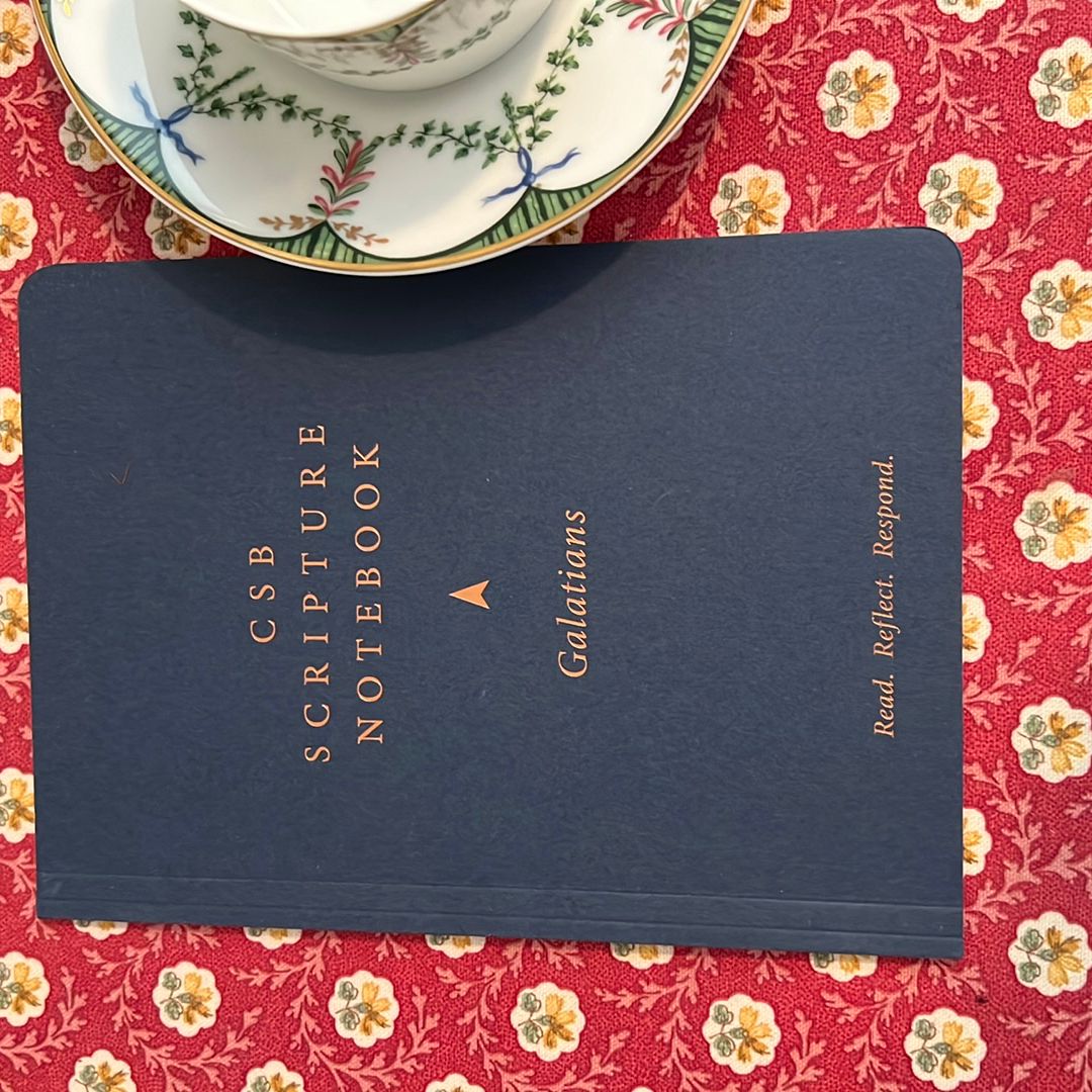 The Christian Basics Bible