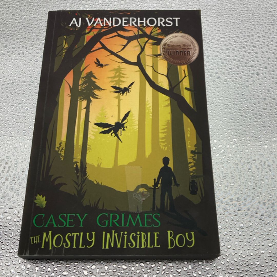 The Mostly Invisible Boy (Casey Grimes)