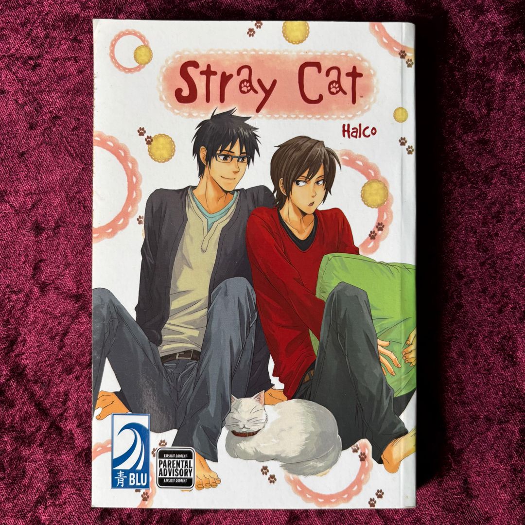 Stray Cat