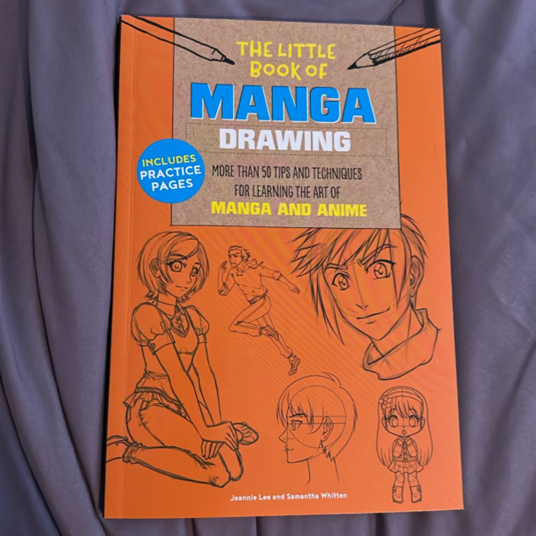 The Little Book Of Manga Drawing