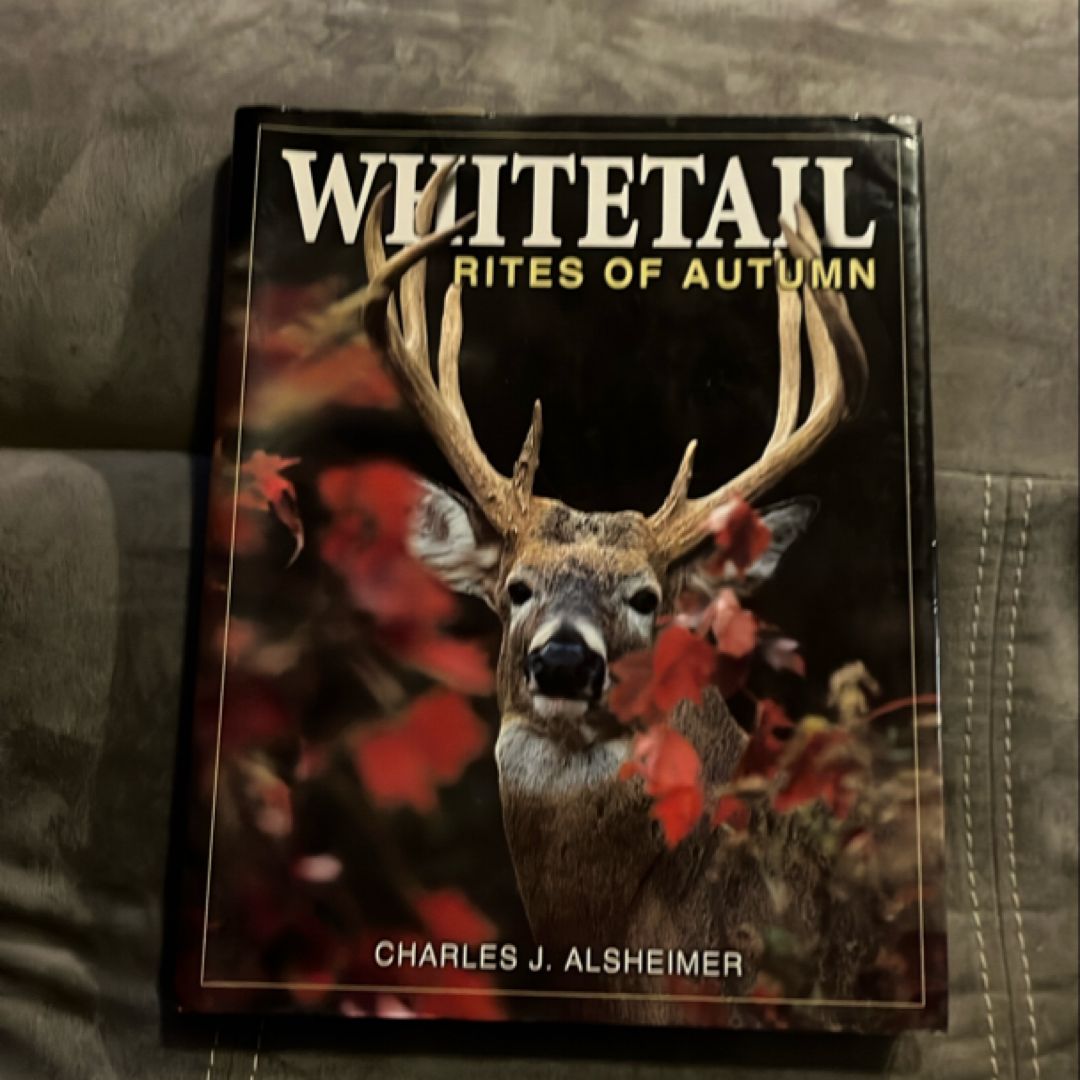 Whitetail Rites of Autumn