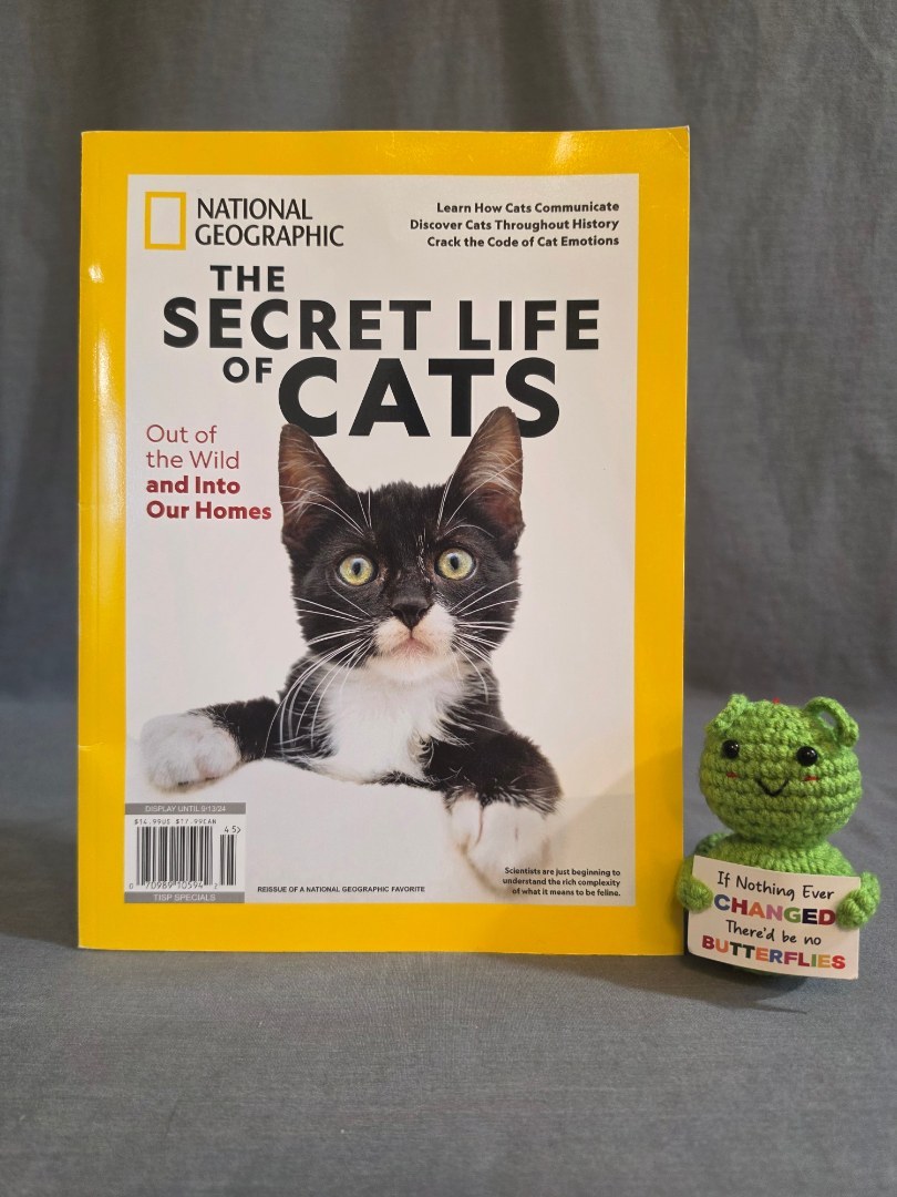 The Secret Life of Cats