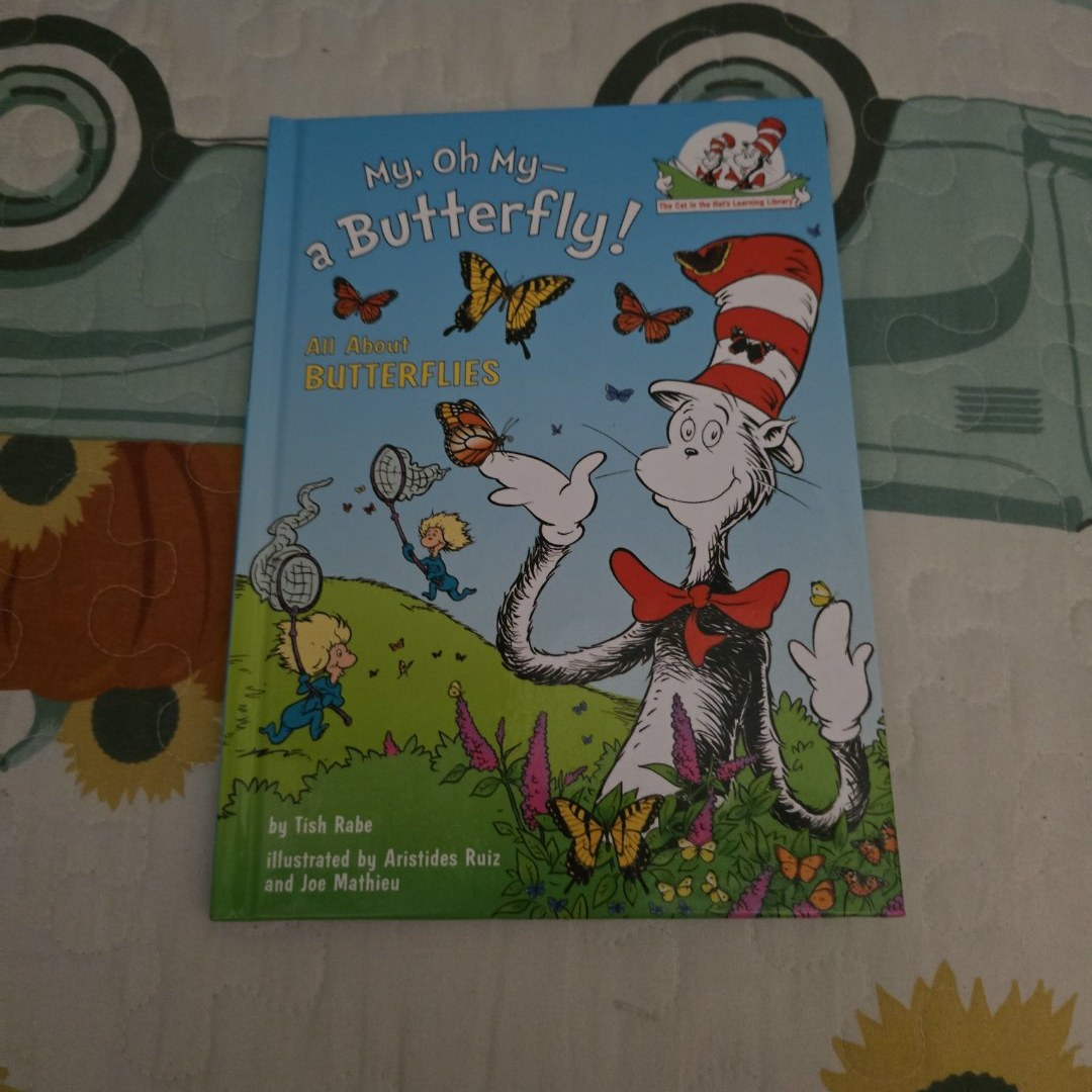 My, Oh My--A Butterfly!