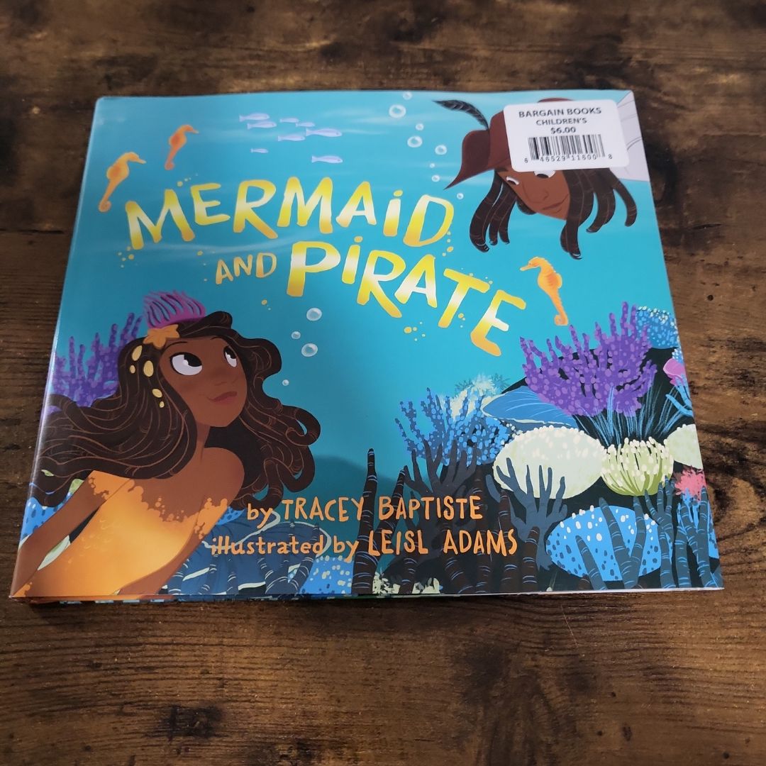 Mermaid and Pirate