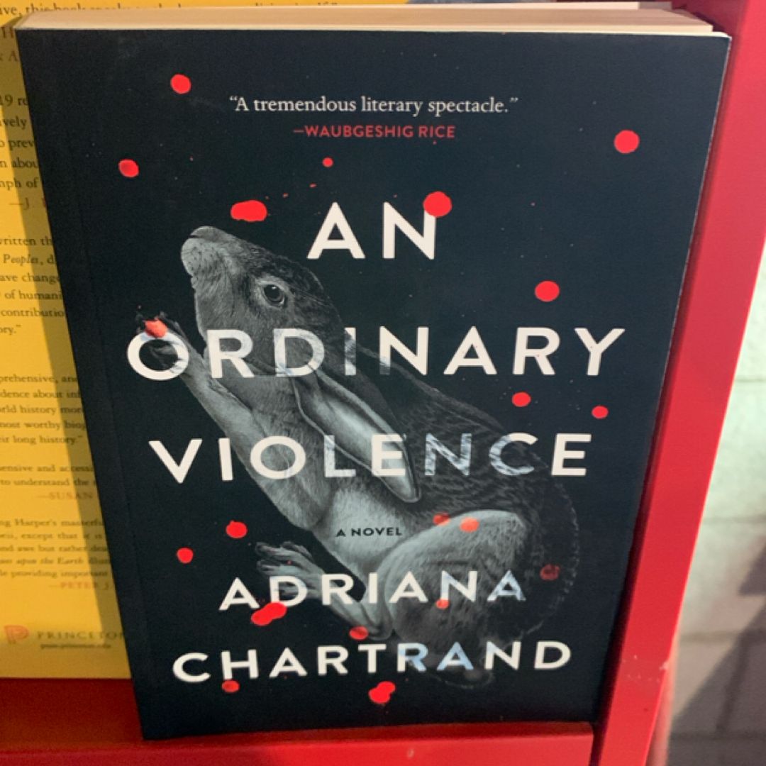An Ordinary Violence