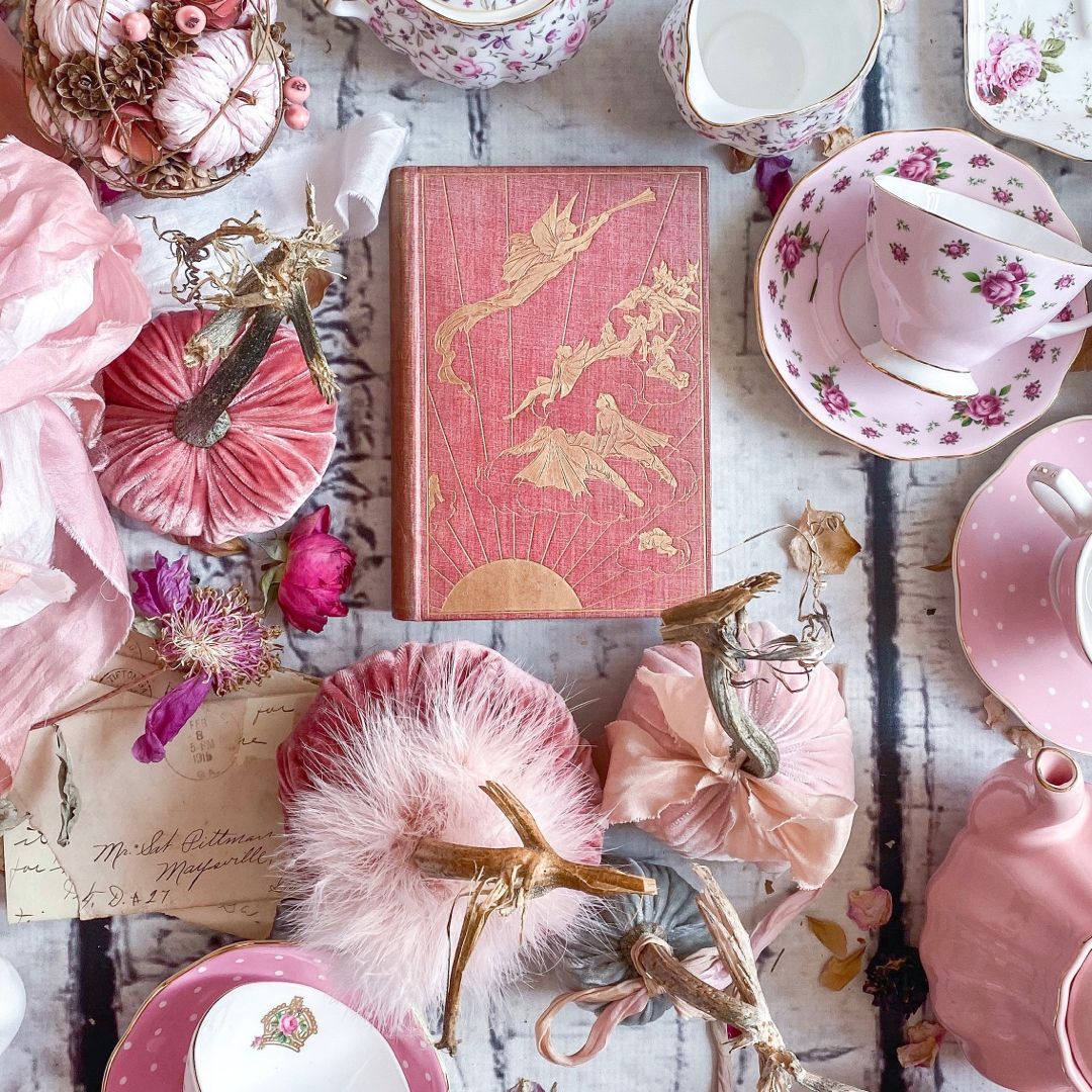 The Pink Fairy Book