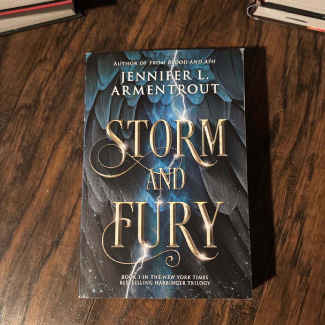 Storm and Fury