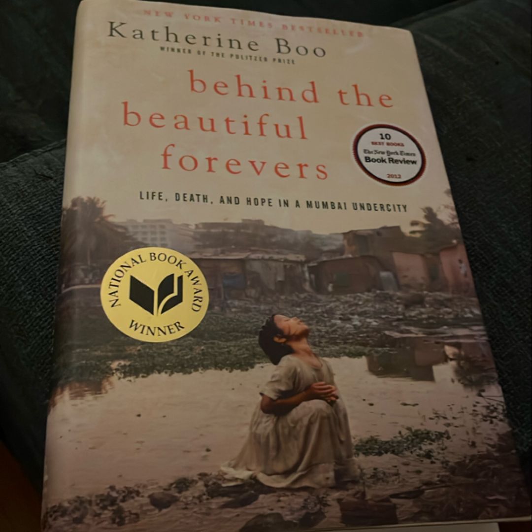 Behind The Beautiful Forevers 