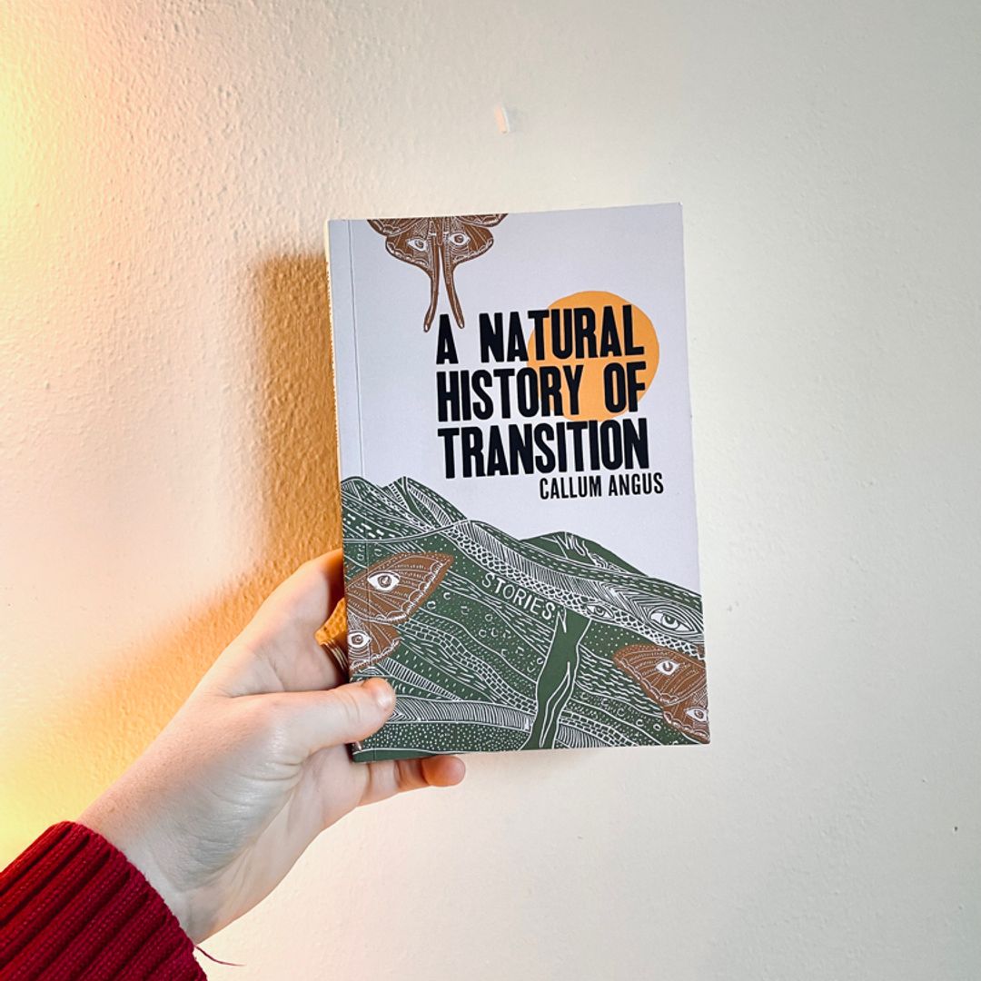 A Natural History of Transition