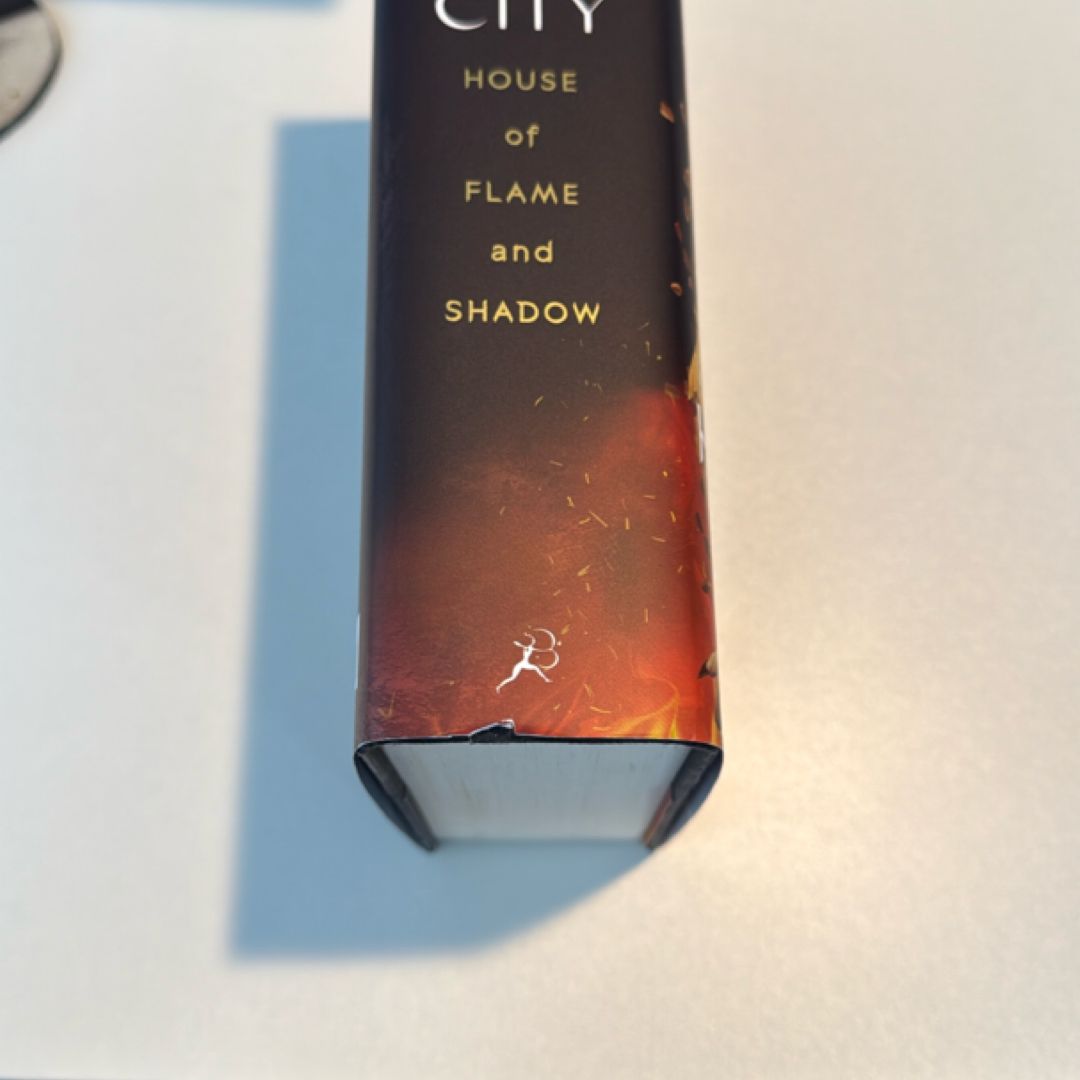 *Walmart Exclusive* House of Flame and Shadow