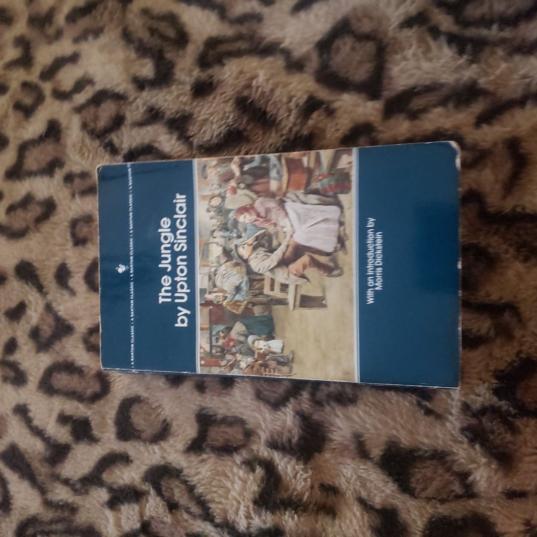 The Jungle by Upton Sinclair; Morris Dickstein, Paperback | Pangobooks