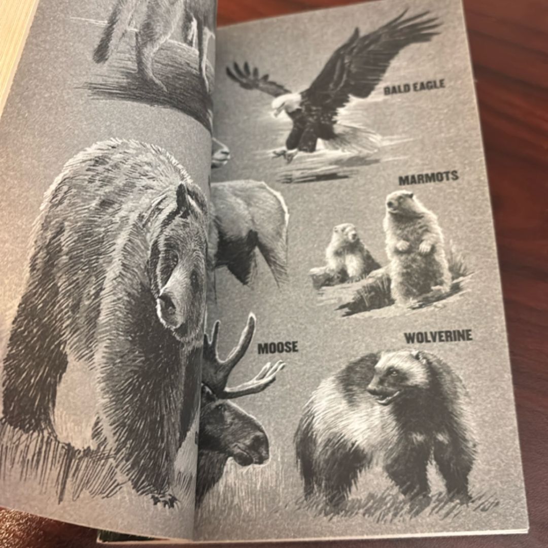 Attack of the Grizzlies, 1967