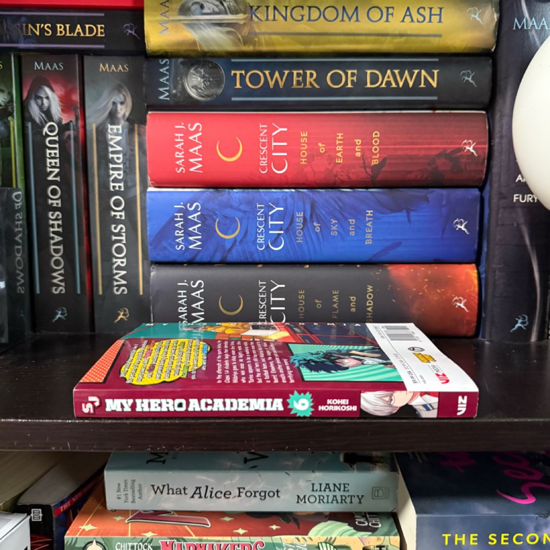 My Hero Academia, Vol. 6