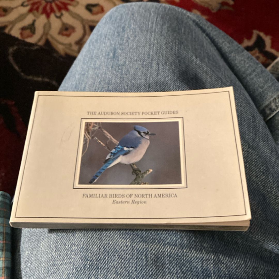 National Audubon Society Pocket Guide to Familiar Birds: Eastern Region