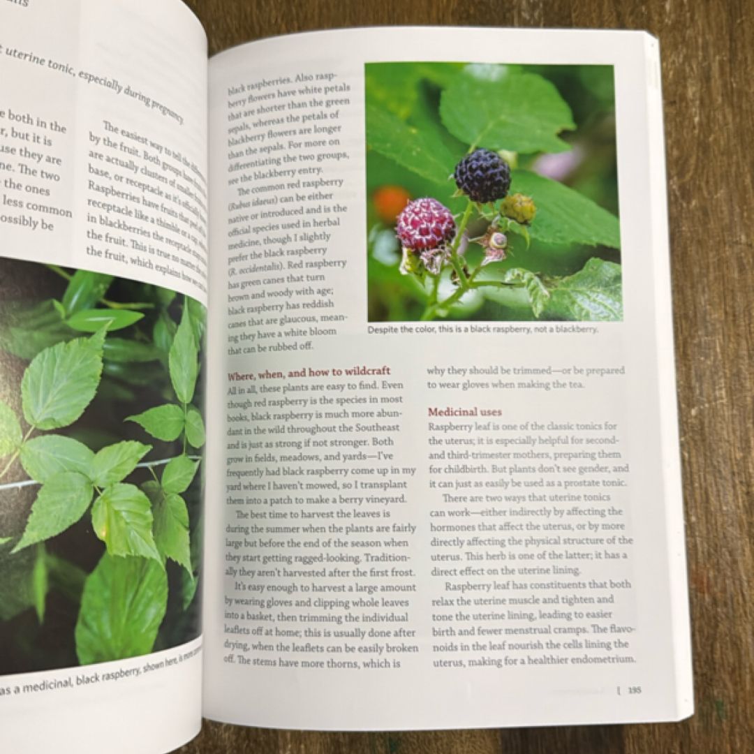 Southeast Medicinal Plants