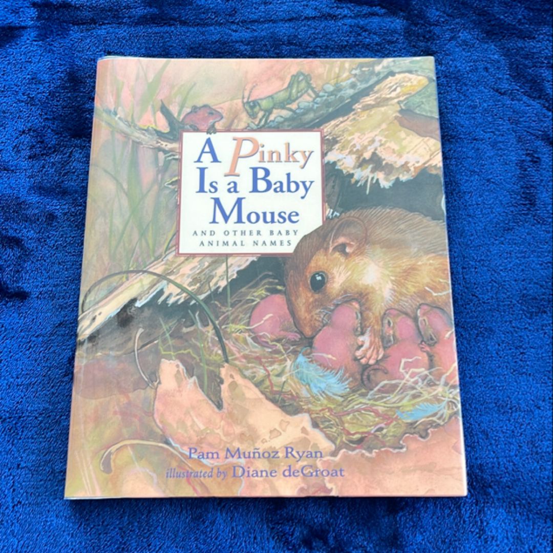 A Pinky Is a Baby Mouse