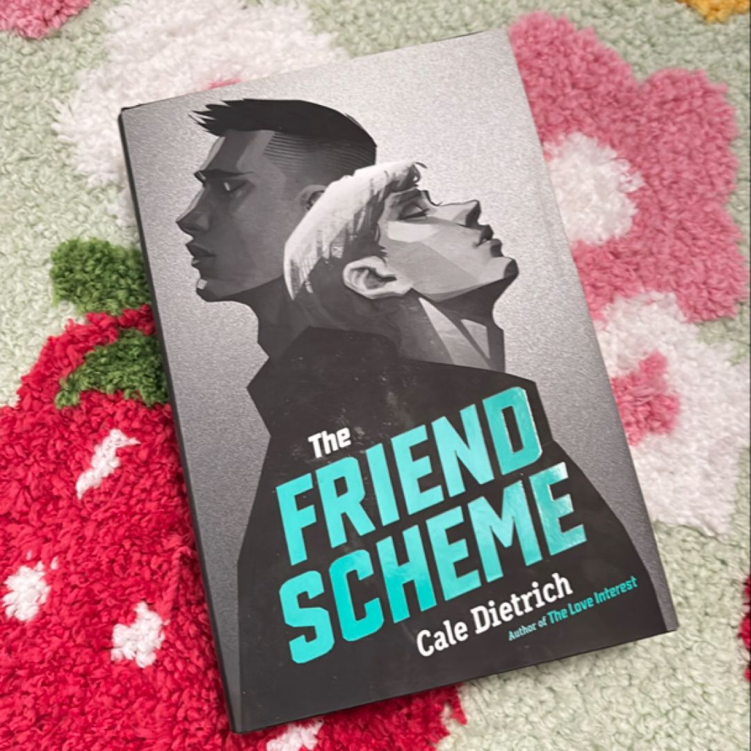 The Friend Scheme