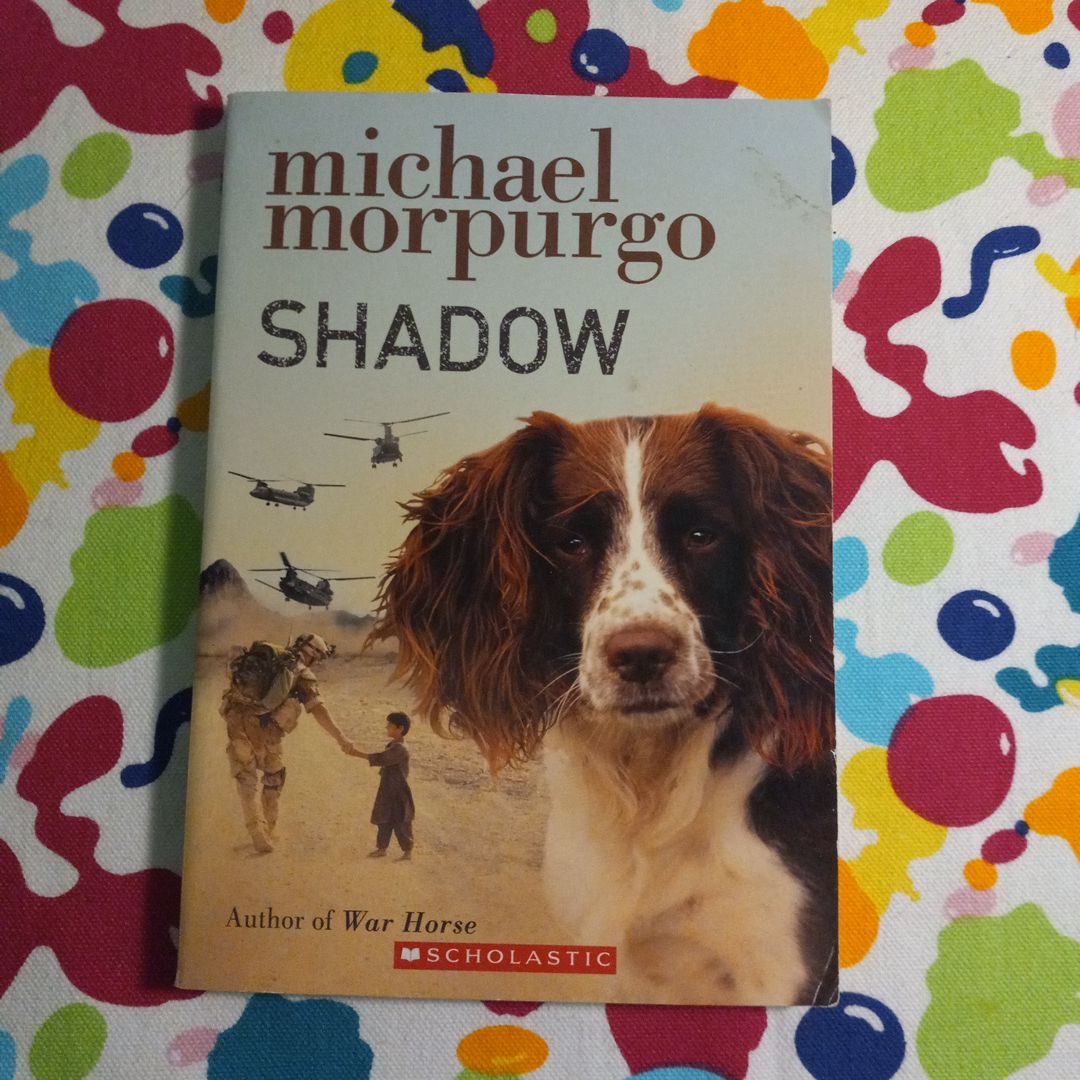 Shadow