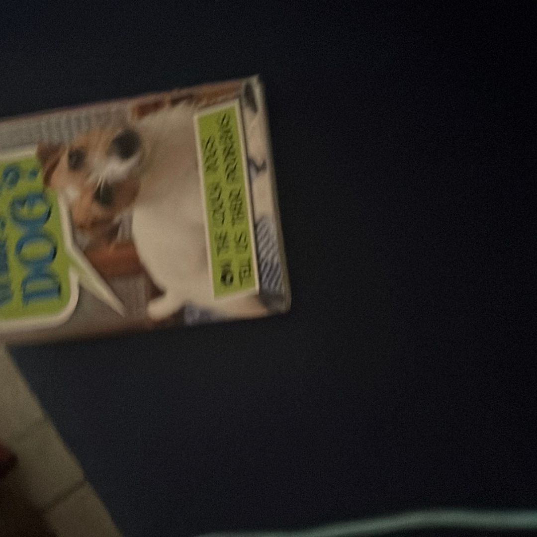 What's up Dog?