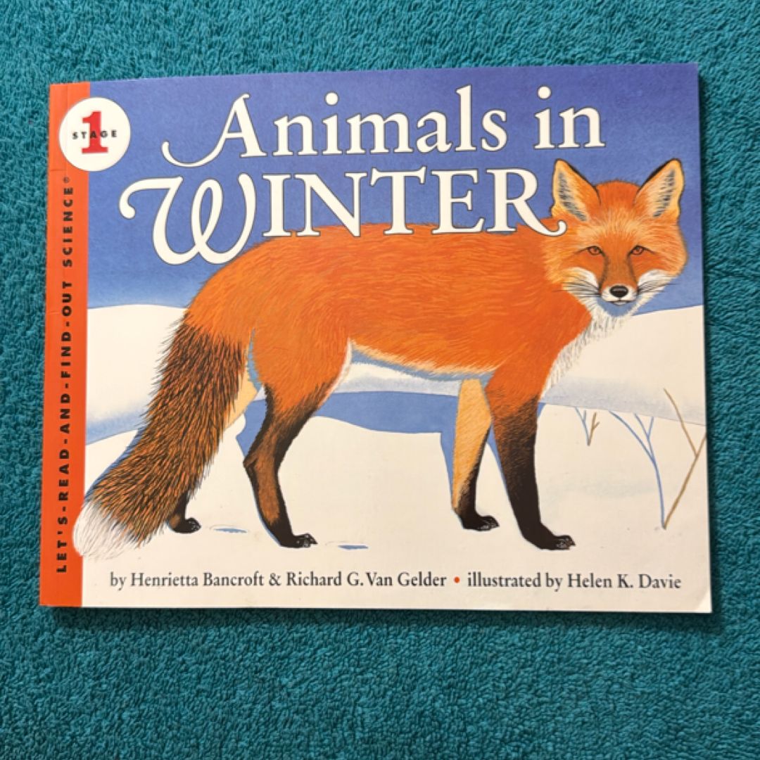 Animals in Winter