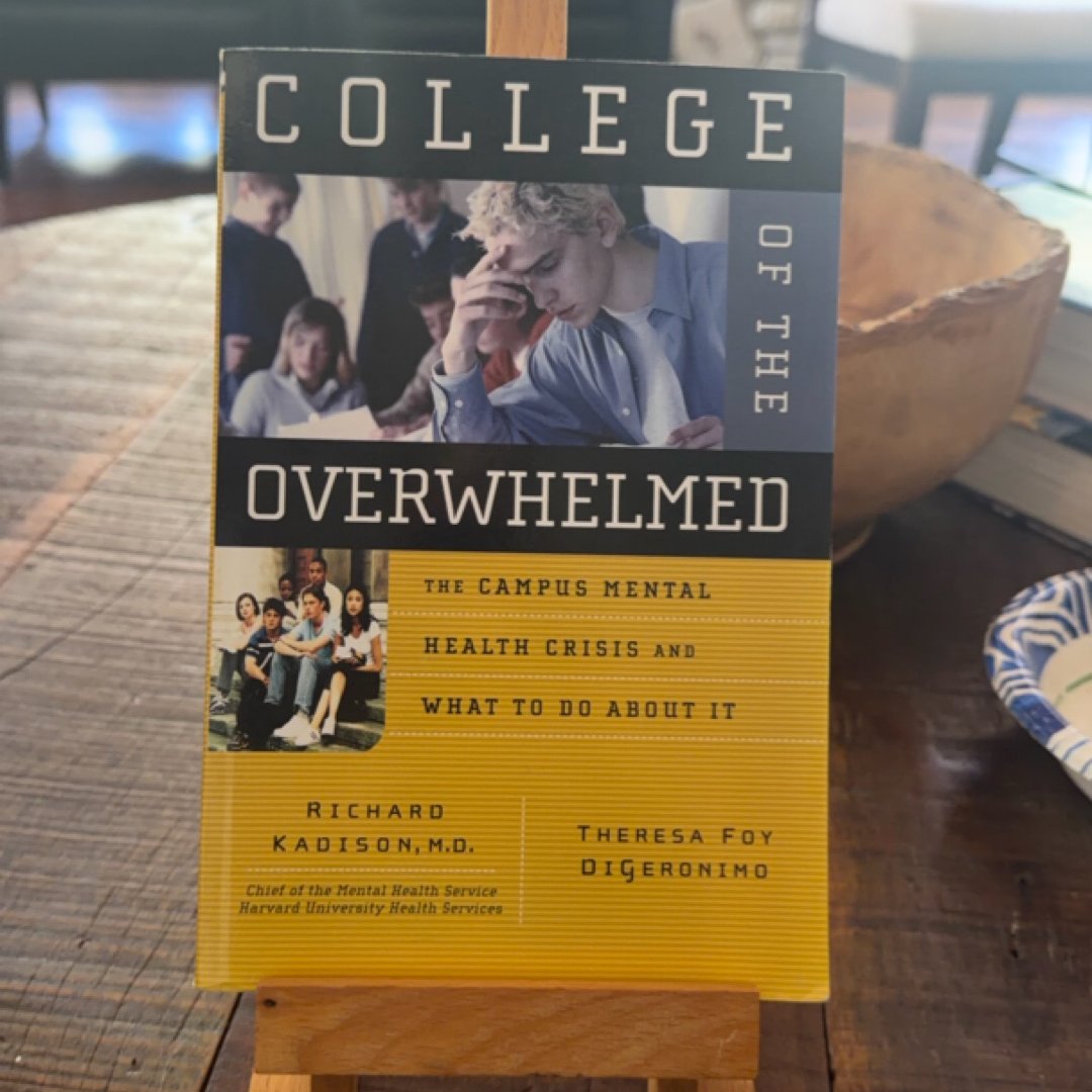 College of the Overwhelmed