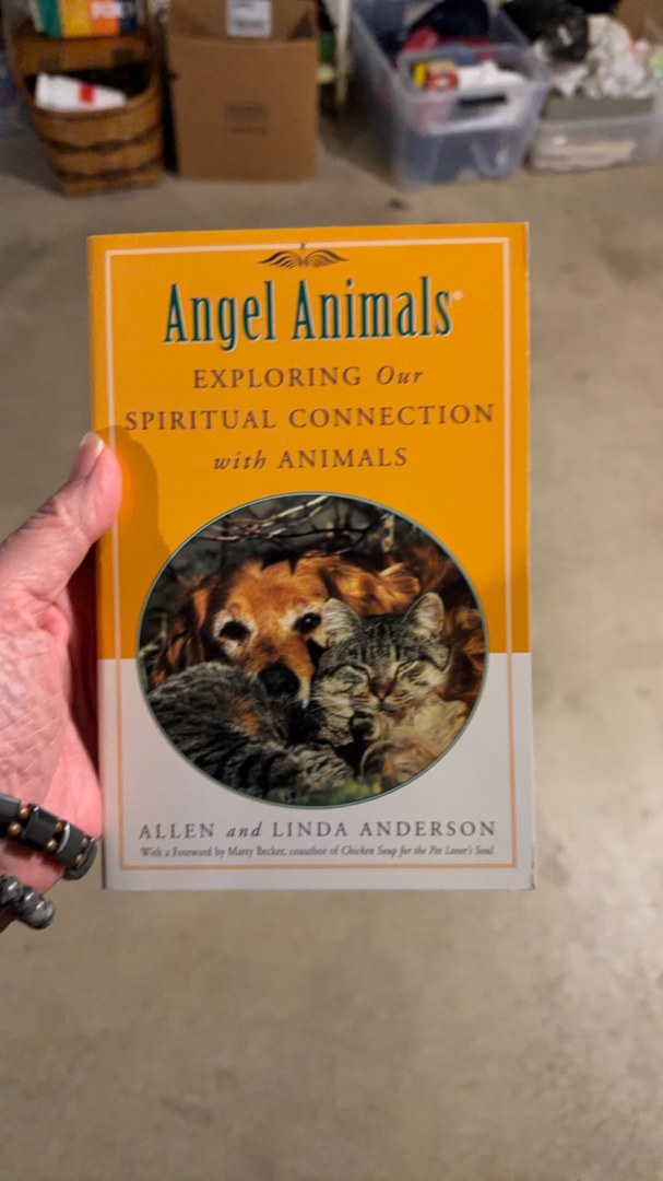 Angel Animals