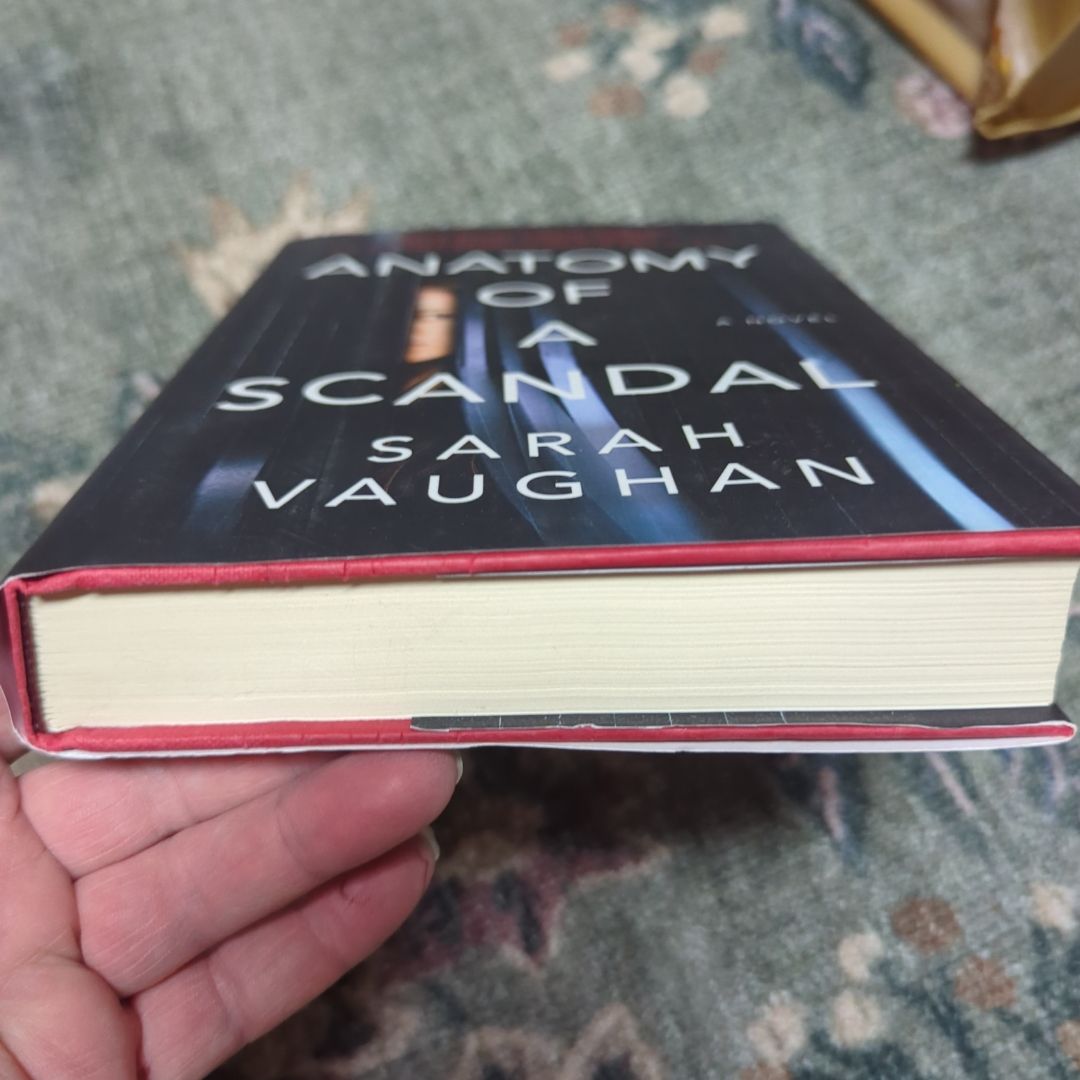 Anatomy of a Scandal