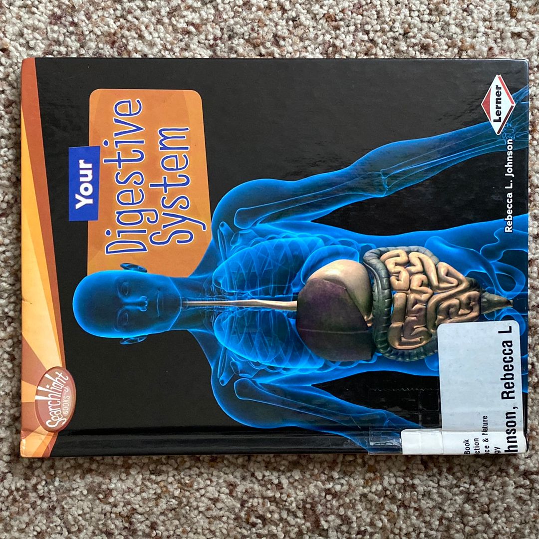 Your Digestive System by Rebecca L. Johnson