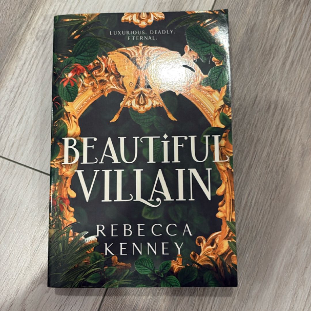 Beautiful Villain