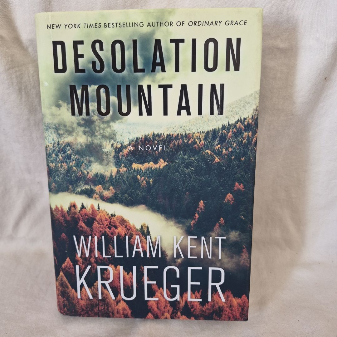 Desolation Mountain A Novel