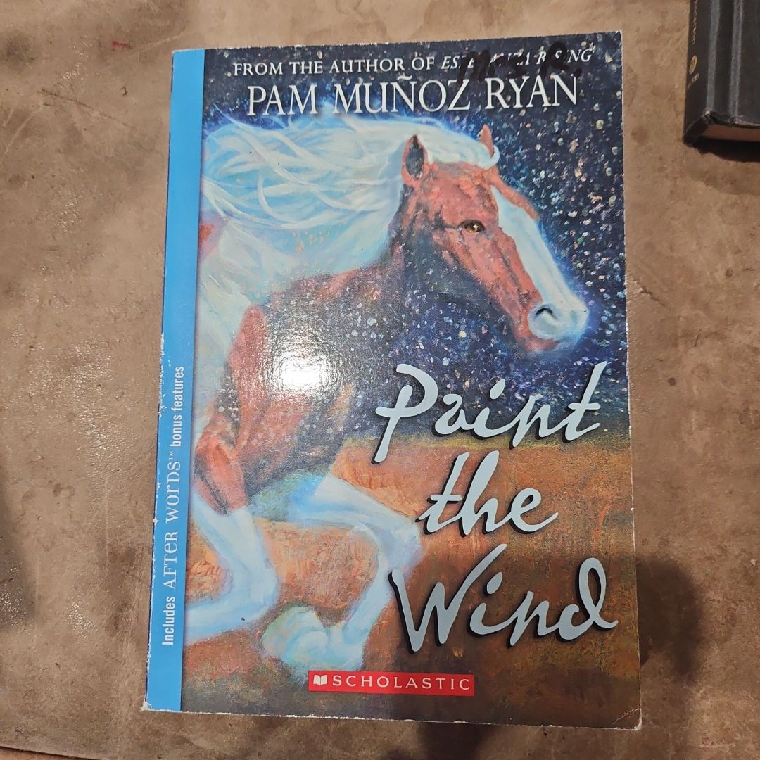 Paint the Wind
